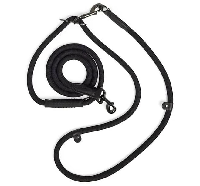 Reddy Hands-Free Rope Leash for Dogs