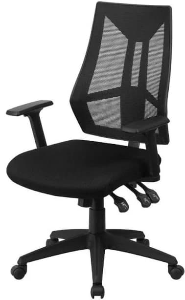 Ergonomic High Back Mesh Office Chair with Adjustable Arms & Headrest, Black, Office Chairs by eFurnish