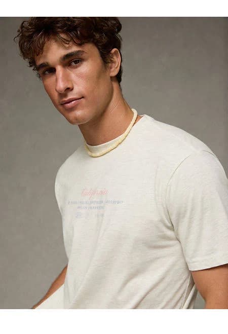 AE Men's Standard Fit Graphic T-Shirt