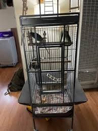 Parrot Cage for Sale in Vallejo, CA - OfferUp