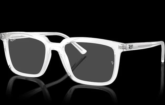 Ray-Ban RX7239 Alain