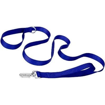 Country Brook Petz Deluxe Nylon Dog Leash