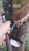 Video frame trigger