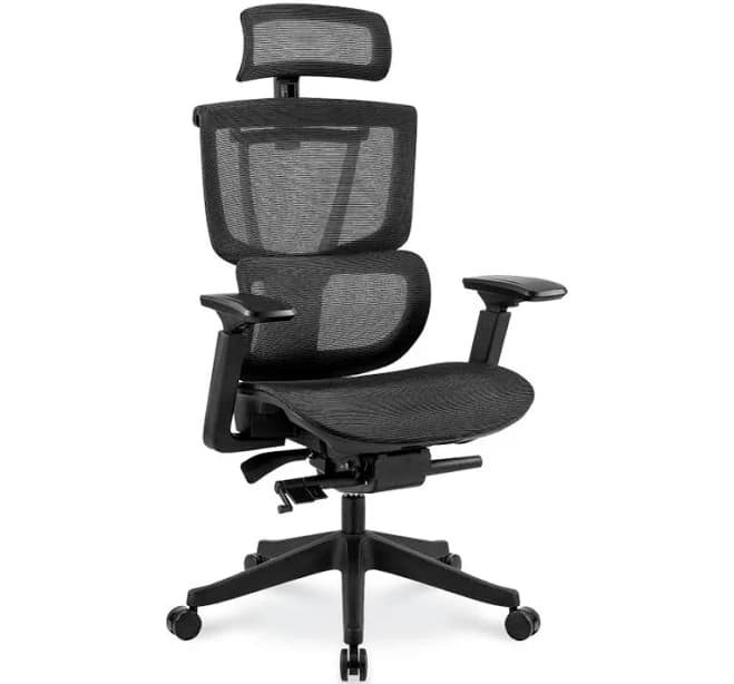 FlexiSpot C7 Ergonomic Mesh High-Back Office Chair c7b