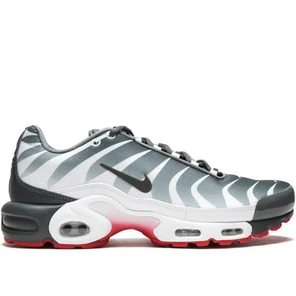 Nike Air Max Plus Before the Bite