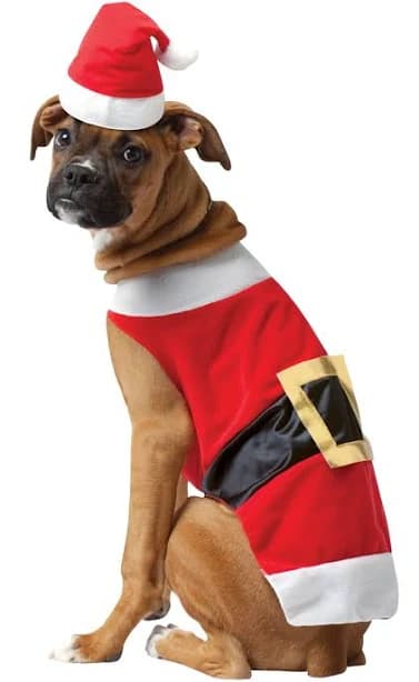 Christmas Central Santa Christmas Pet Costume