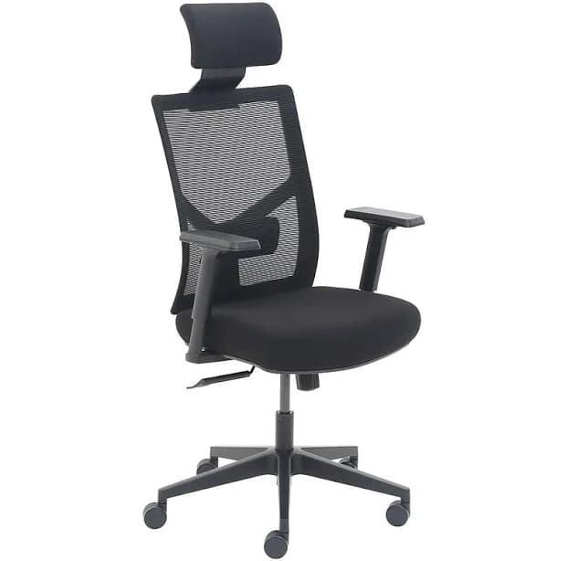 La-Z-Boy Mesh Back Molded Foam Task Chair