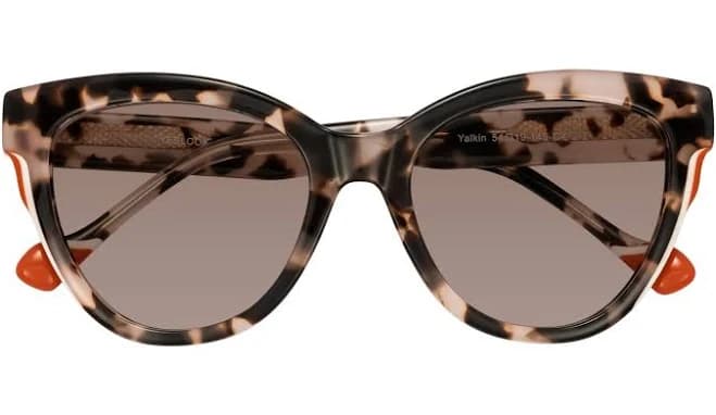 Yalkin Oversized Cat-Eye Acetate Sunglasses