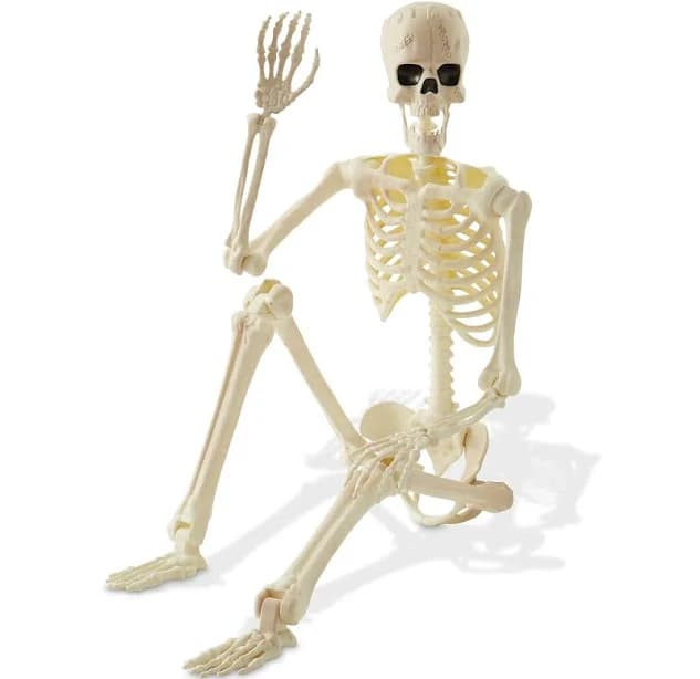BOO BOX 74" Lifesize Halloween Posable Skeleton