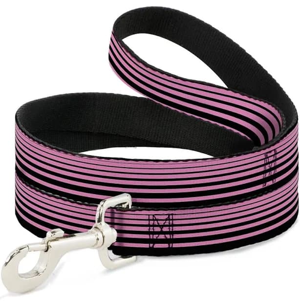 Stripe Transition Dog Leash