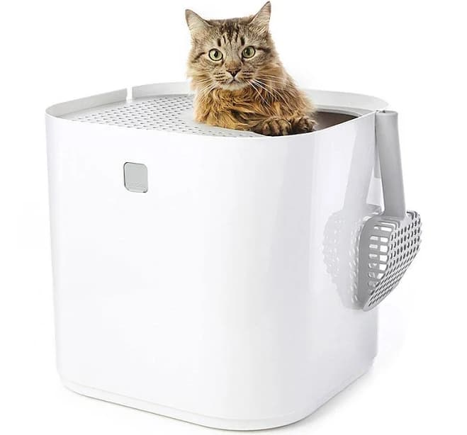Modkat Cat Litter Box