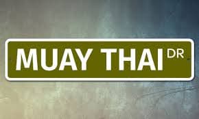 6819 SS Muay Thai 4" x 18" Novelty Street Sign Aluminum | eBay