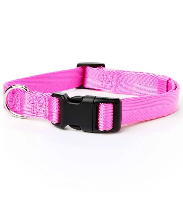 Youly Adjustable Dog Collar