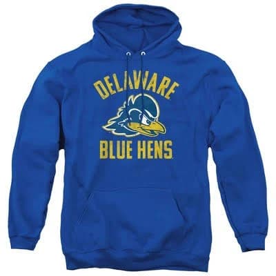 University of Delaware Fightin Blue Hens Men's Pull-Over Hoodie
