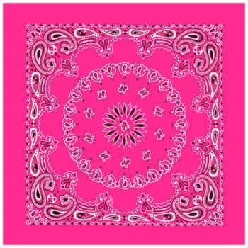 Paisley Bandana