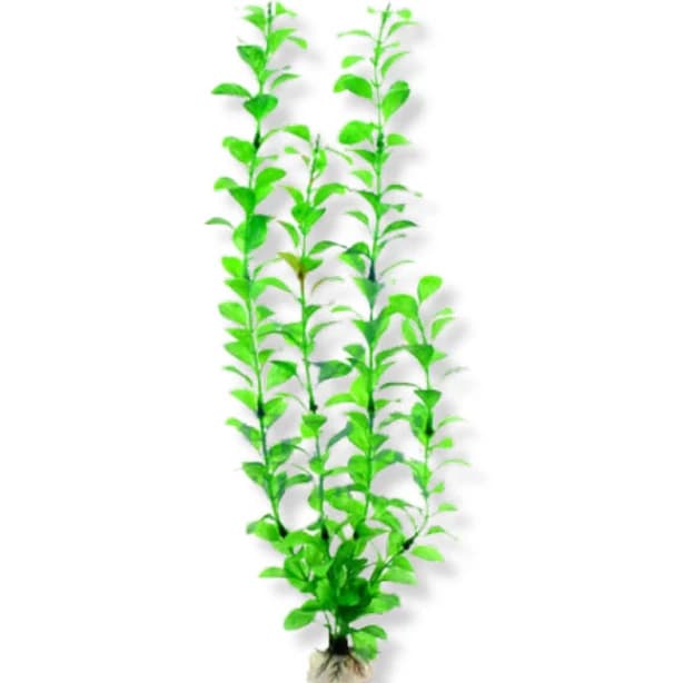 Artificial Ludwigia