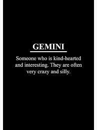 "Gemini Star Sign Definition" Poster for Sale by Swarno | Redbubble
