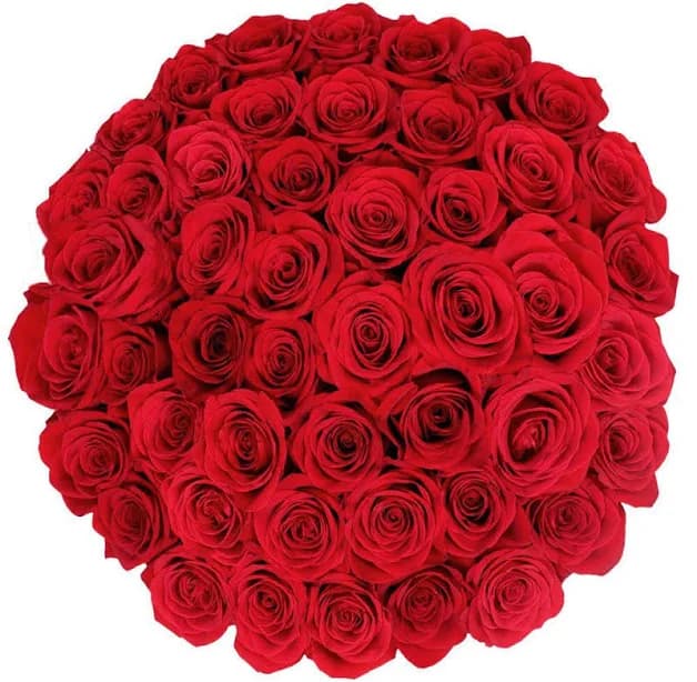 Valentine's Day Red Roses Fresh Cut Floral