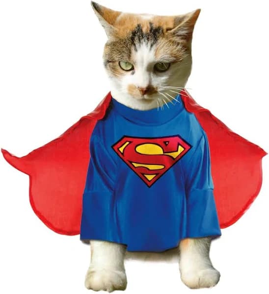 Superman Cat Costume - S
