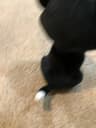 Video frame trigger