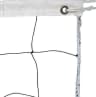 Video frame trigger