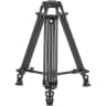 Video frame trigger