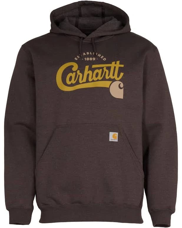 Carhartt Script Graphic Hoodie