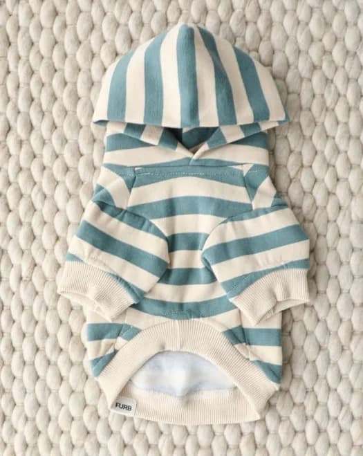 Remy Dusty Teal Stripe Dog Hoodie, XS