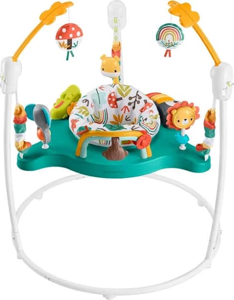 Fisher-Price Baby Activity Jumper