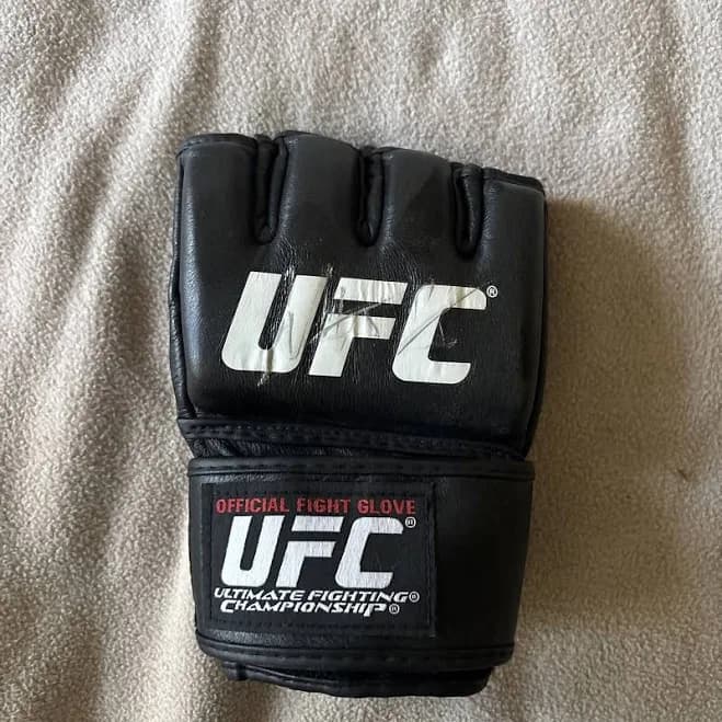 UFC Official Fight Gloves
