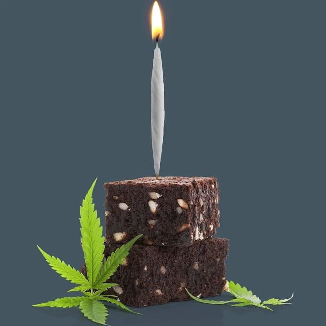 Fred & Friends Lit Birthday Candles