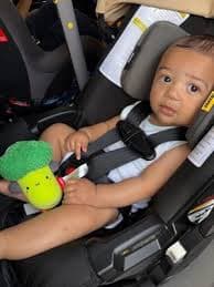 Skip Hop Farmstand Broc & Roll Stroller Toy : Target