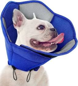 NANAKI Sunfura Cone Recovery Elizabethan Collar/E-Collar