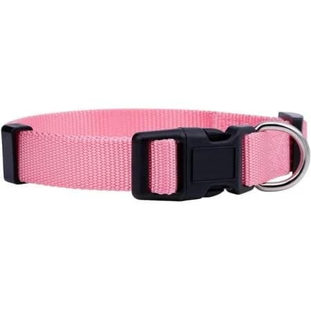 Basic Nylon Adjustable Dog Collar