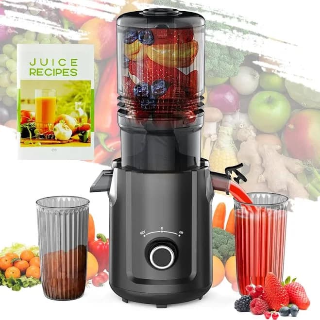 Karinear Masticating Juicer 5.3-inch Large Feed Chute