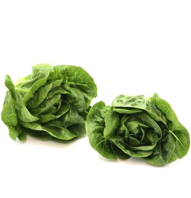 Baby Gem Lettuce (2 count)