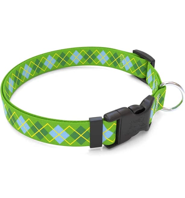 Argyle Lime Dog Collar Martingale Collar