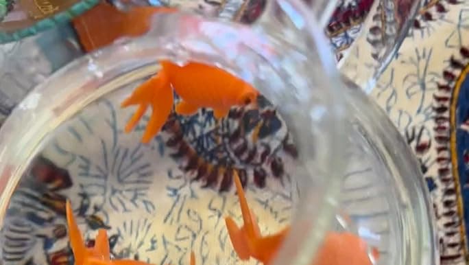 Amazon.com: XMHF Aquarium Fish Bowl Tank Artificial Floating Plastic Orange Decor Goldfish Ornament Fish Tank Decoration 10PCS : Pet Supplies