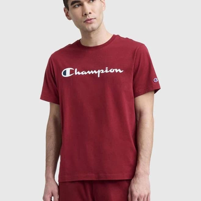 Champion Men's Classic Graphic Script Logo T-Shirt