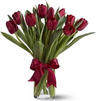 Teleflora Radiantly Red Tulips