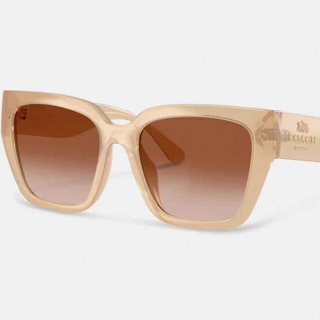 Coach Women's Oversized Cat Eye Sunglasses