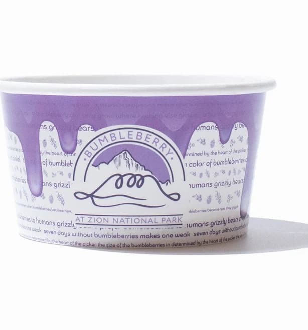 Premium Custom Ice Cream Cups 8 oz 1000/Case