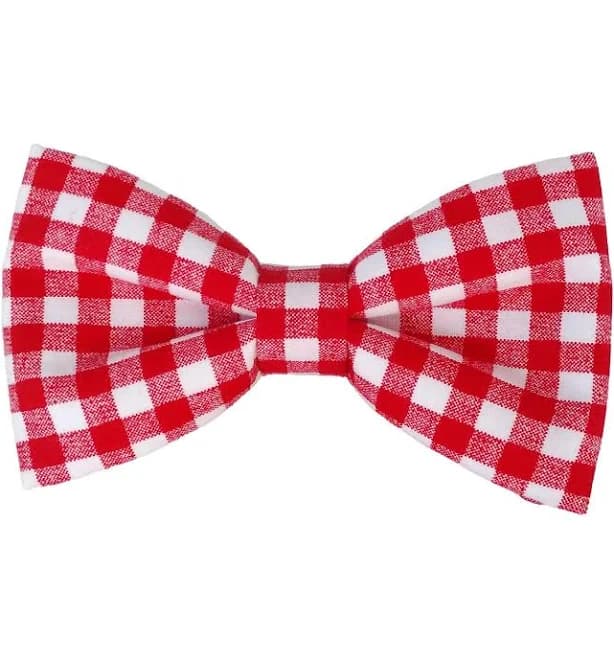 Jena Richards Red Gingham Check Dog Bow Ties