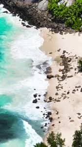 Sandy Beach with Turquoise Water and Dense Forest Seychelles, Nature Stock Footage ft. beach & ocean - Envato