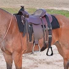 Cashel Step UP Stirrup Extender for Saddle no mounting Block, Size: 72 inches : Amazon.ae
