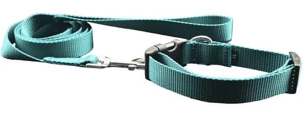 Teal Dog Collar with Reflective Buckle