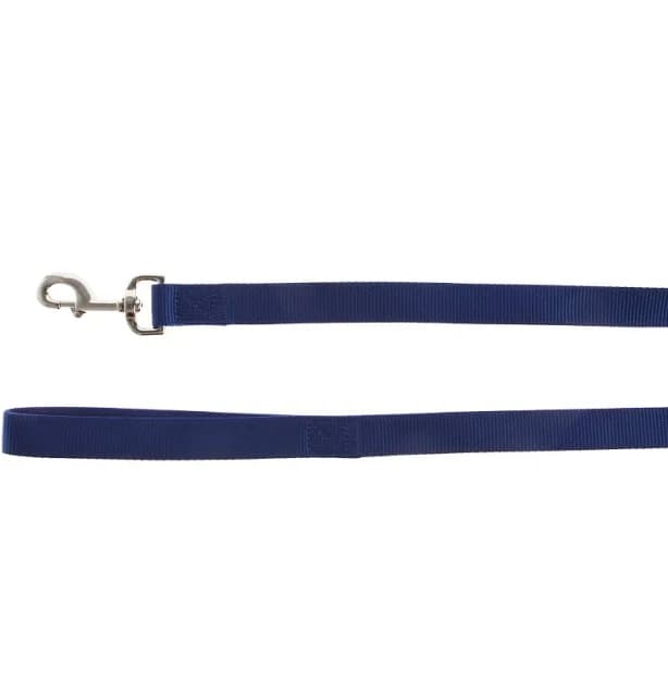 PetSmart Top Paw Nylon Dog Leash