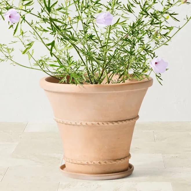 Williams Sonoma Terracotta Rope Trim Planter