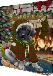 Amazon.com: Doggie of the Day Stocking Hung with Anatolian Shepherd Dogs Canvas Wall Art - Premium Quality Ready to Hang Room Decor - 1.5" Thick Canvas Wrap 16" x 20": Posters &