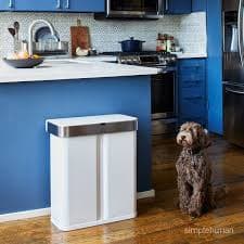 simplehuman 15.3 Gallon Voice and Motion Sensor Trash Can | The Container Store